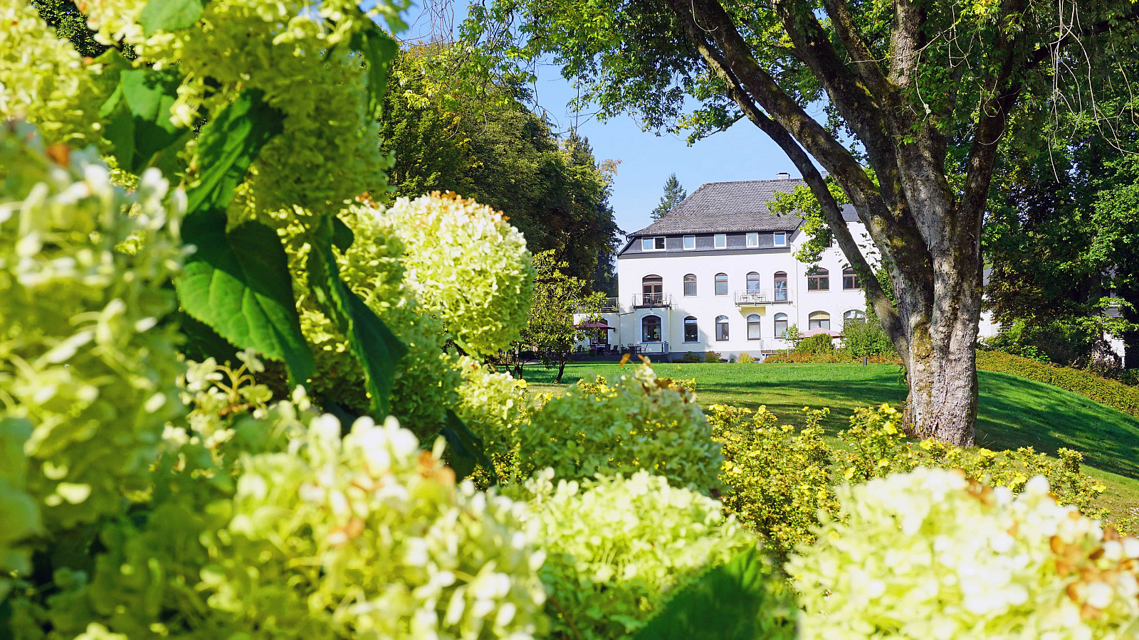 Dorint Parkhotel Siegen