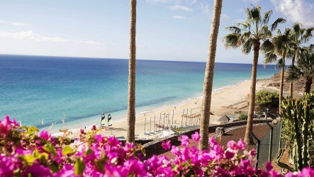 Präventionsreise nach Fuerteventura