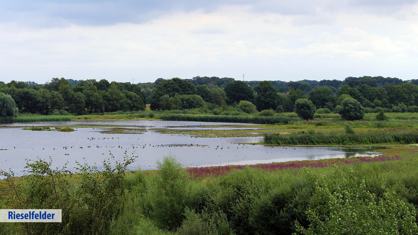 Best Western Premier Seehotel Krautkrämer