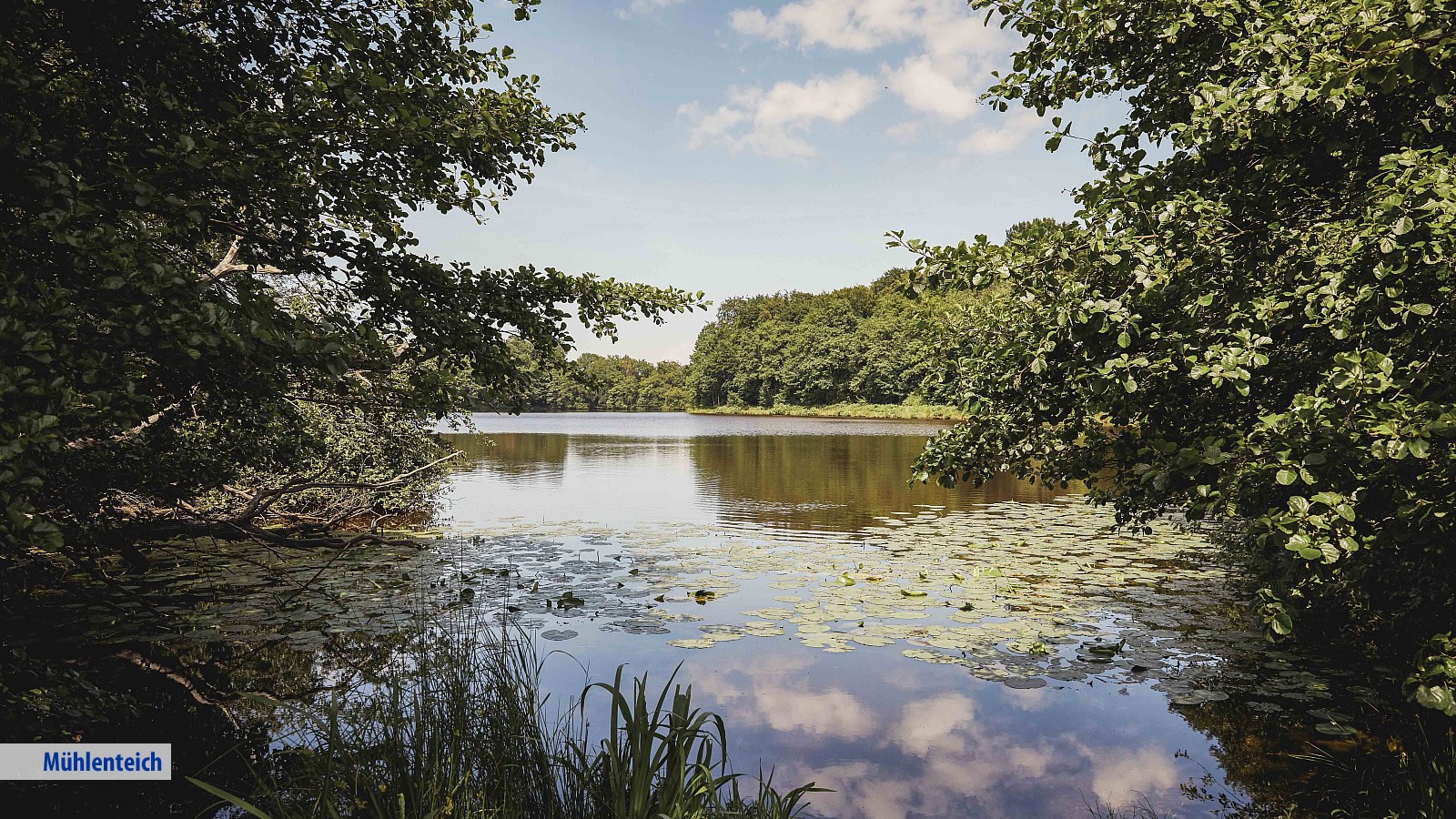 Gesundheitsreise mit Zuschuss Ihrer Krankenkasse nach Varel-Dangast. Foto 4 zeigt eine Impression von Upstalsboom Varel-Dangast oder seiner Umgebung.