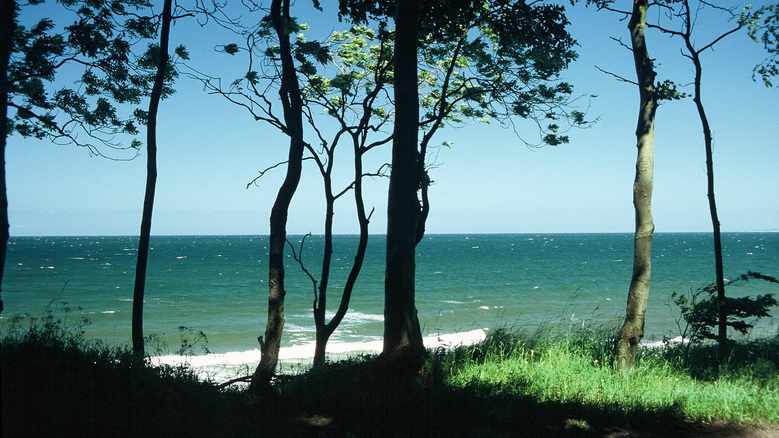 Gesundheitsreise mit Zuschuss Ihrer Krankenkasse nach Weissenhäuser Strand. Foto 16 zeigt eine Impression von Strandhotel oder seiner Umgebung.