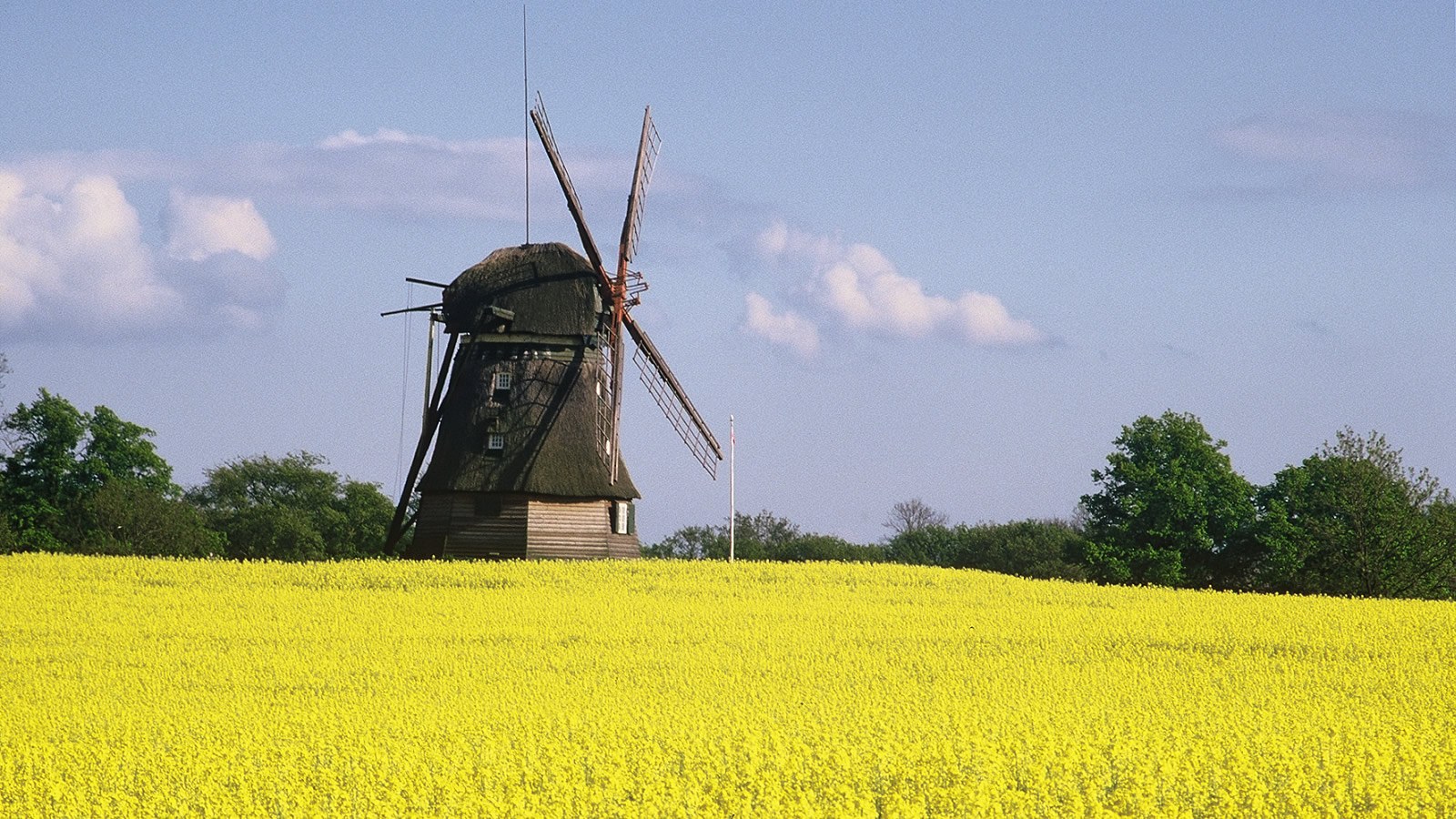 Gesundheitsreise mit Zuschuss Ihrer Krankenkasse nach Weissenhäuser Strand. Foto 17 zeigt eine Impression von Strandhotel oder seiner Umgebung.