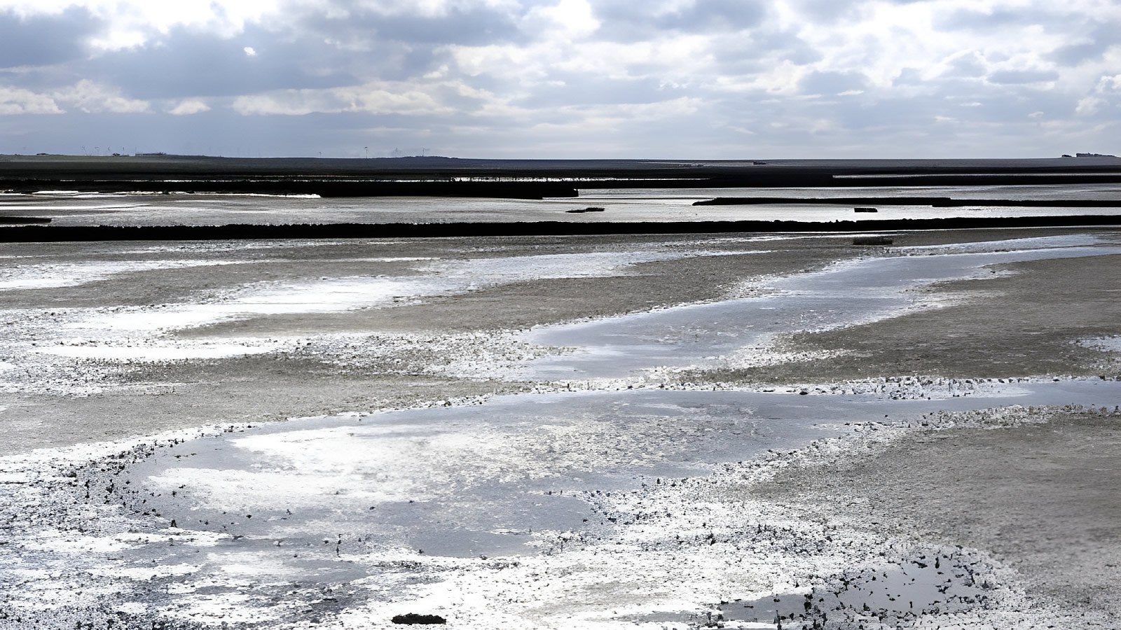 Gesundheitsreise mit Zuschuss Ihrer Krankenkasse nach Dagebüll. Foto 13 zeigt eine Impression von Strandhotel Dagebüll oder seiner Umgebung.