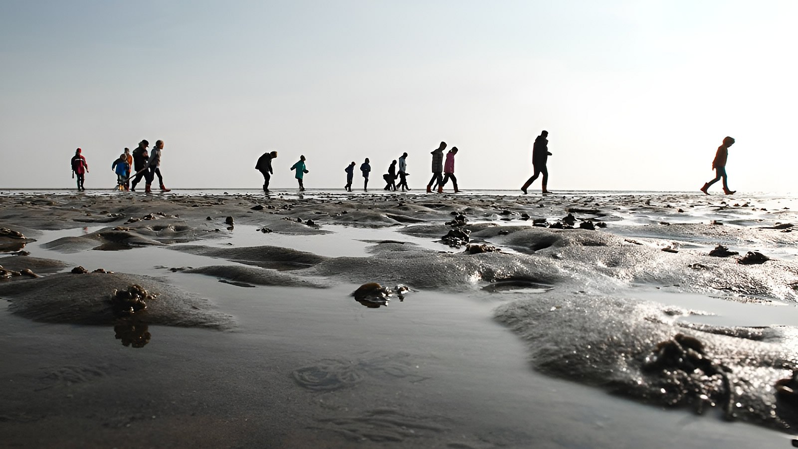 Gesundheitsreise mit Zuschuss Ihrer Krankenkasse nach Dagebüll. Foto 16 zeigt eine Impression von Strandhotel Dagebüll oder seiner Umgebung.