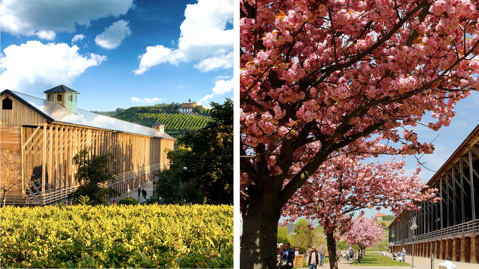 Gesundheitsreise mit Zuschuss Ihrer Krankenkasse nach Bad Dürkheim. Foto 5 zeigt eine Impression von ACHAT Hotel oder seiner Umgebung.