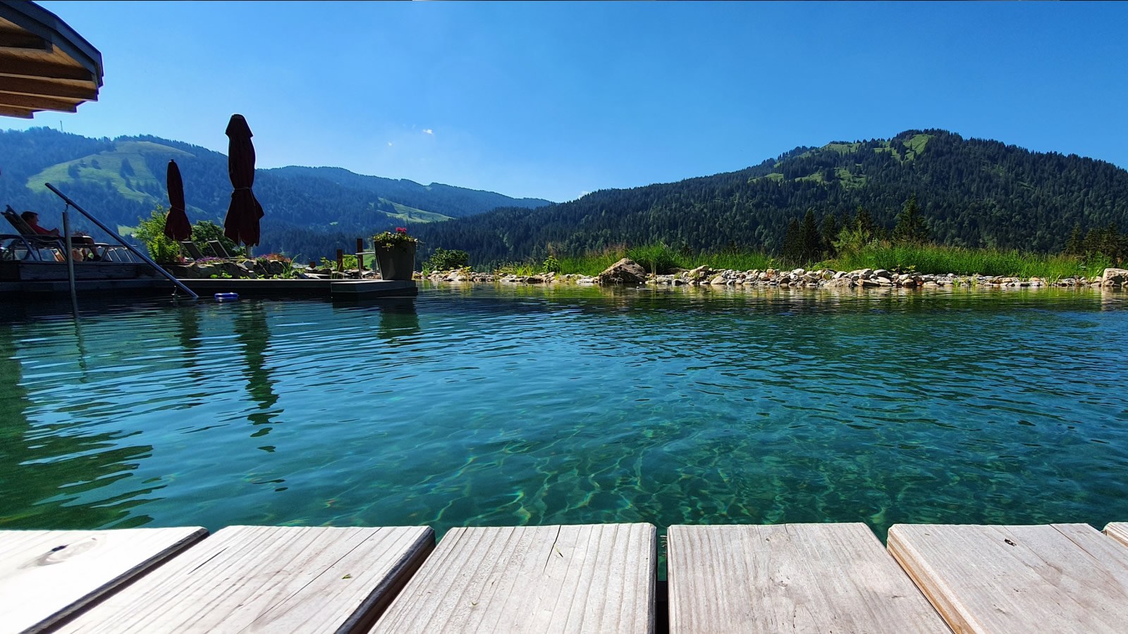 Gesundheitsreise mit Zuschuss Ihrer Krankenkasse nach Balderschwang. Foto 6 zeigt eine Impression von Torgheles Wald + Fluh oder seiner Umgebung.