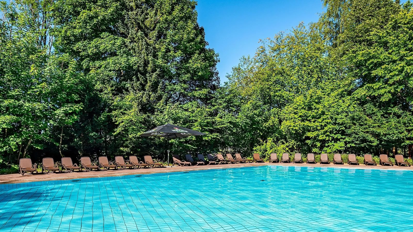 Gesundheitsreise mit Zuschuss Ihrer Krankenkasse nach Braunlage. Foto 2 zeigt eine Impression von AHORN Harz Hotel Braunlage  oder seiner Umgebung.