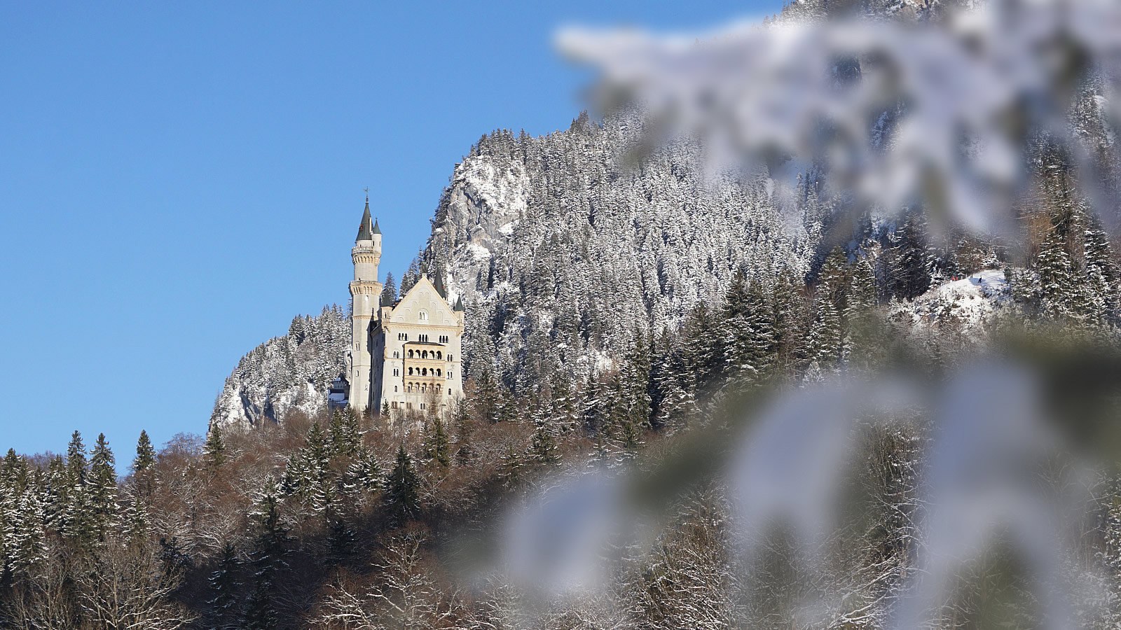 Gesundheitsreise mit Zuschuss Ihrer Krankenkasse nach Füssen. Foto 16 zeigt eine Impression von Biohotel Eggensberger oder seiner Umgebung.