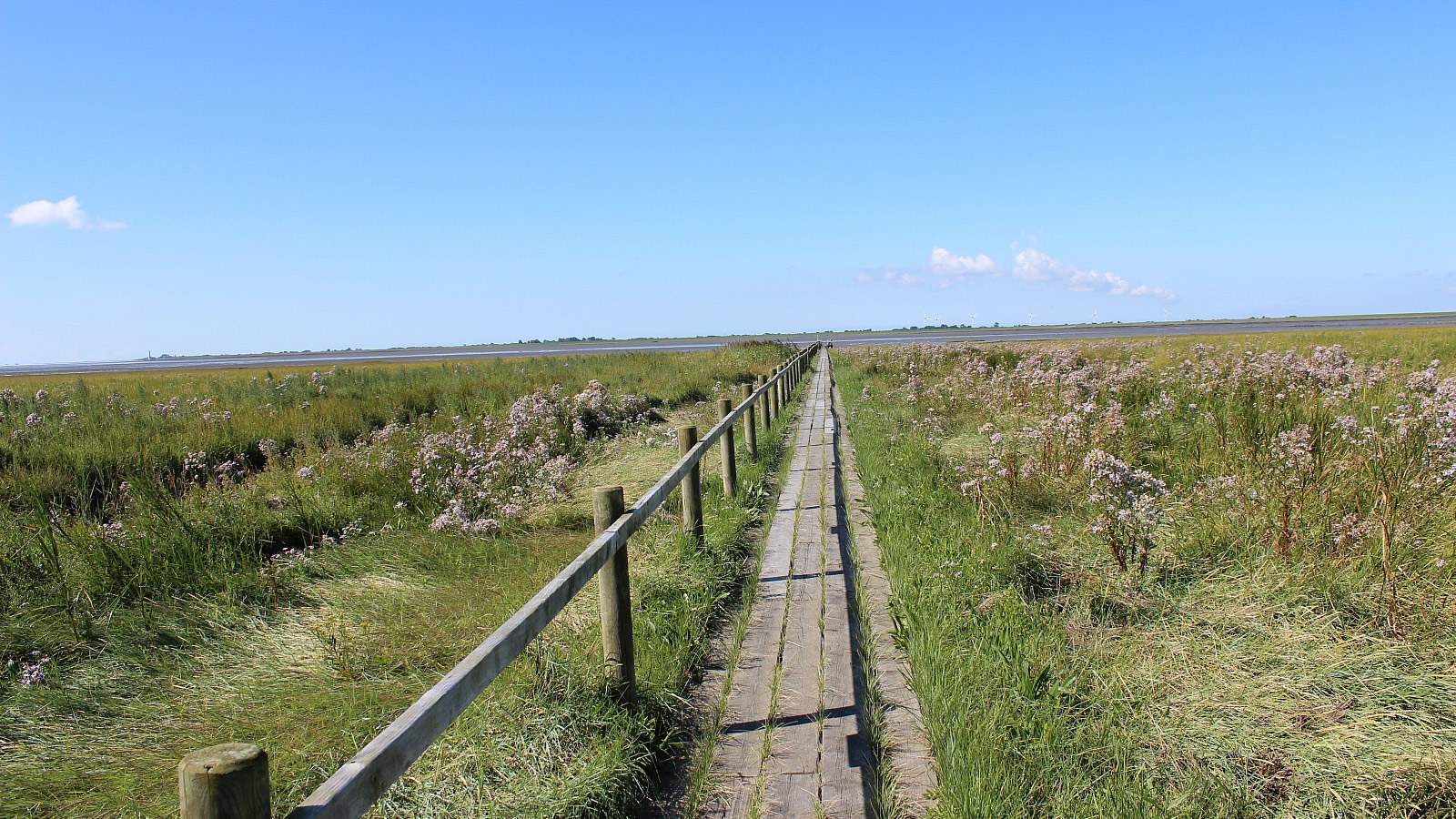Gesundheitsreise mit Zuschuss Ihrer Krankenkasse nach Husum. Foto 14 zeigt eine Impression von Nordsee-Hotel Hinrichsen oder seiner Umgebung.
