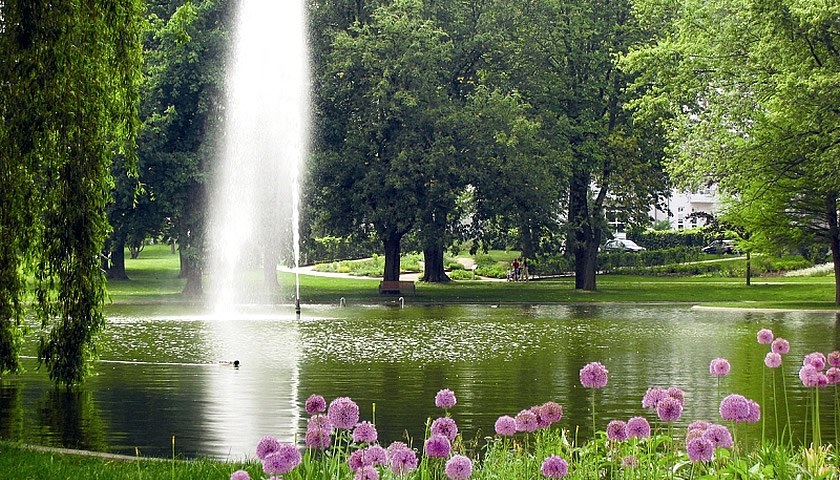 Gesundheitsreise mit Zuschuss Ihrer Krankenkasse nach Bad Hersfeld. Foto 4 zeigt eine Impression von Hotel am Kurpark oder seiner Umgebung.