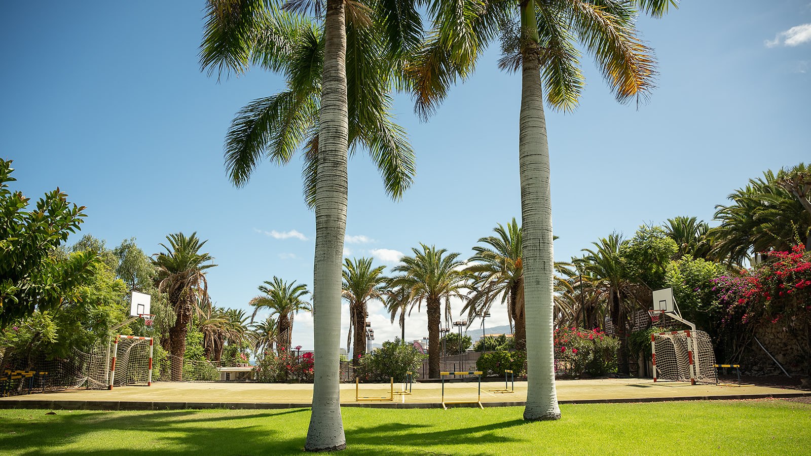 Gesundheitsreise mit Zuschuss Ihrer Krankenkasse nach Puerto de la Cruz Tenerife. Foto 4 zeigt eine Impression von PRECISE RESORT TENERIFE oder seiner Umgebung.