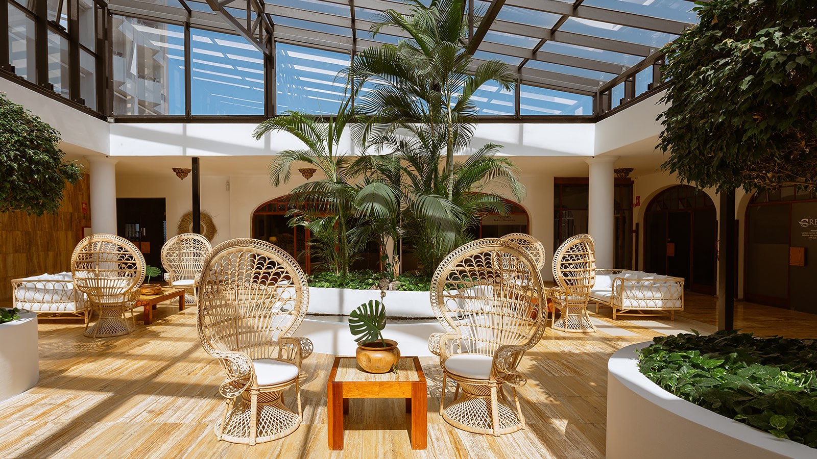 Gesundheitsreise mit Zuschuss Ihrer Krankenkasse nach Puerto de la Cruz Tenerife. Foto 16 zeigt eine Impression von PRECISE RESORT TENERIFE oder seiner Umgebung.