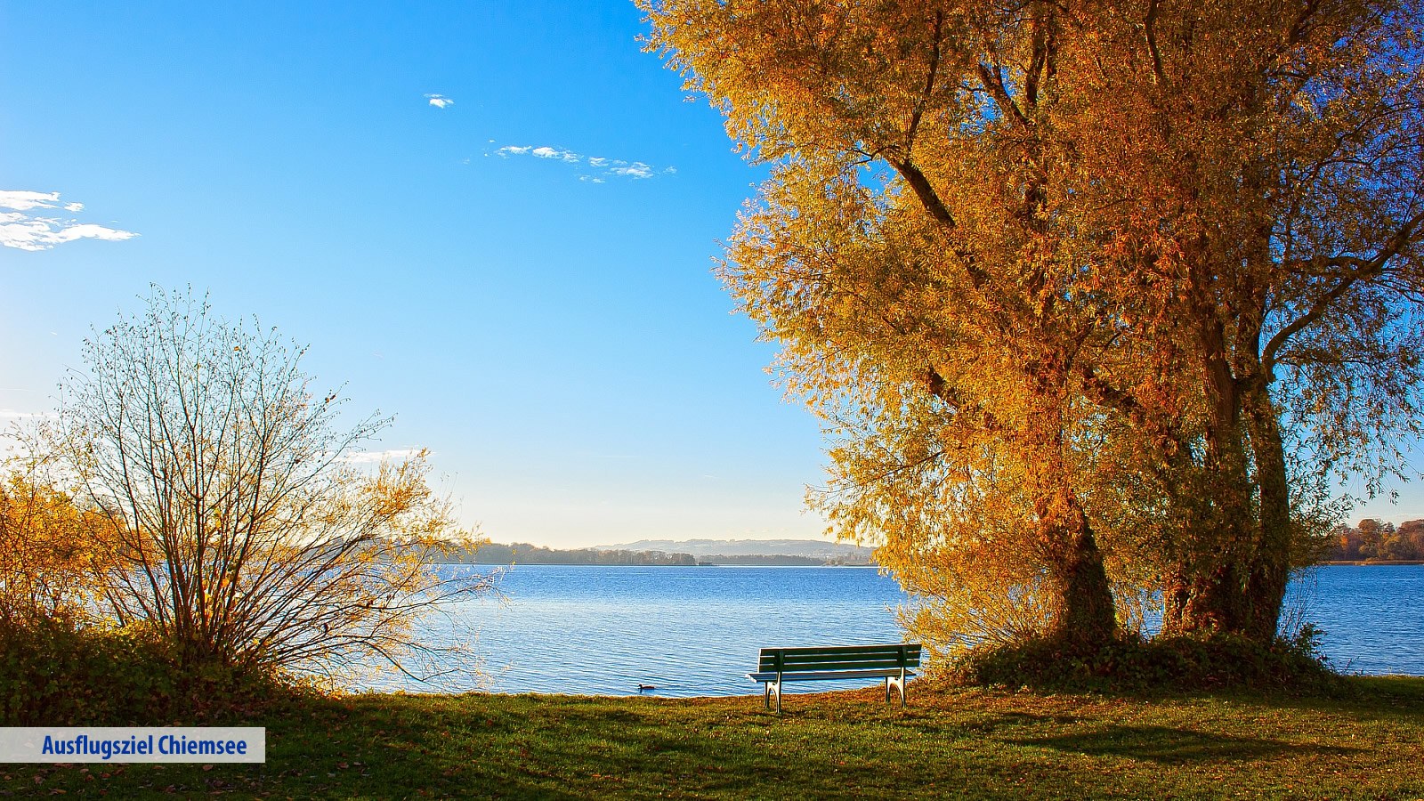 Gesundheitsreise mit Zuschuss Ihrer Krankenkasse nach Inzell. Foto 20 zeigt eine Impression von Das Bergmayr oder seiner Umgebung.