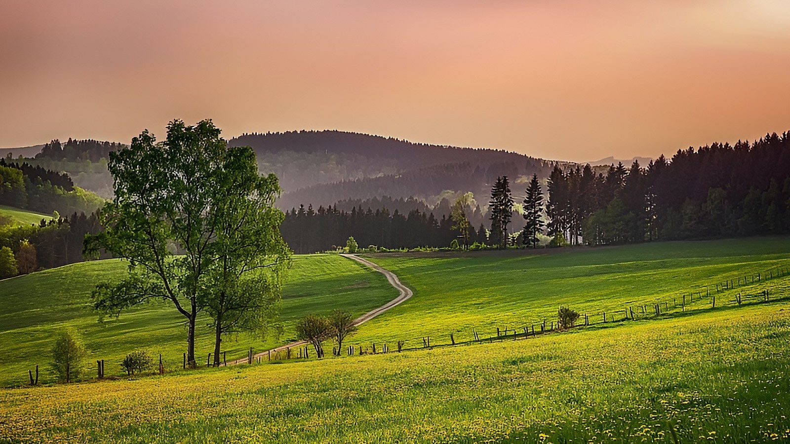 Gesundheitsreise mit Zuschuss Ihrer Krankenkasse nach Winterberg. Foto 3 zeigt eine Impression von Hotel Winterberg Resort  oder seiner Umgebung.