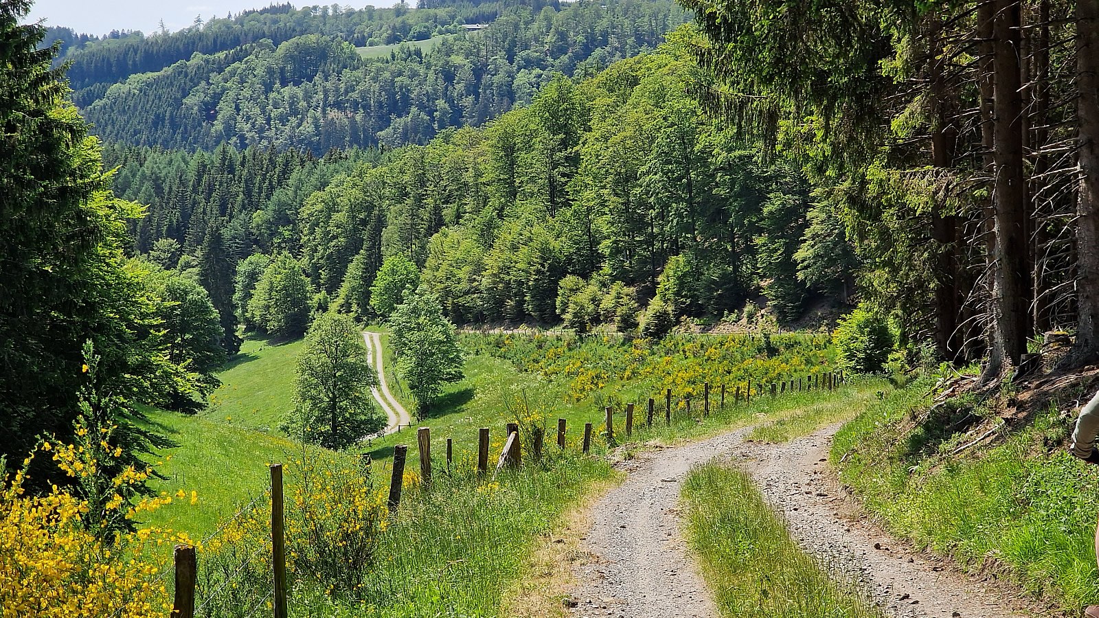 Gesundheitsreise mit Zuschuss Ihrer Krankenkasse nach Winterberg. Foto 8 zeigt eine Impression von Hotel Winterberg Resort  oder seiner Umgebung.