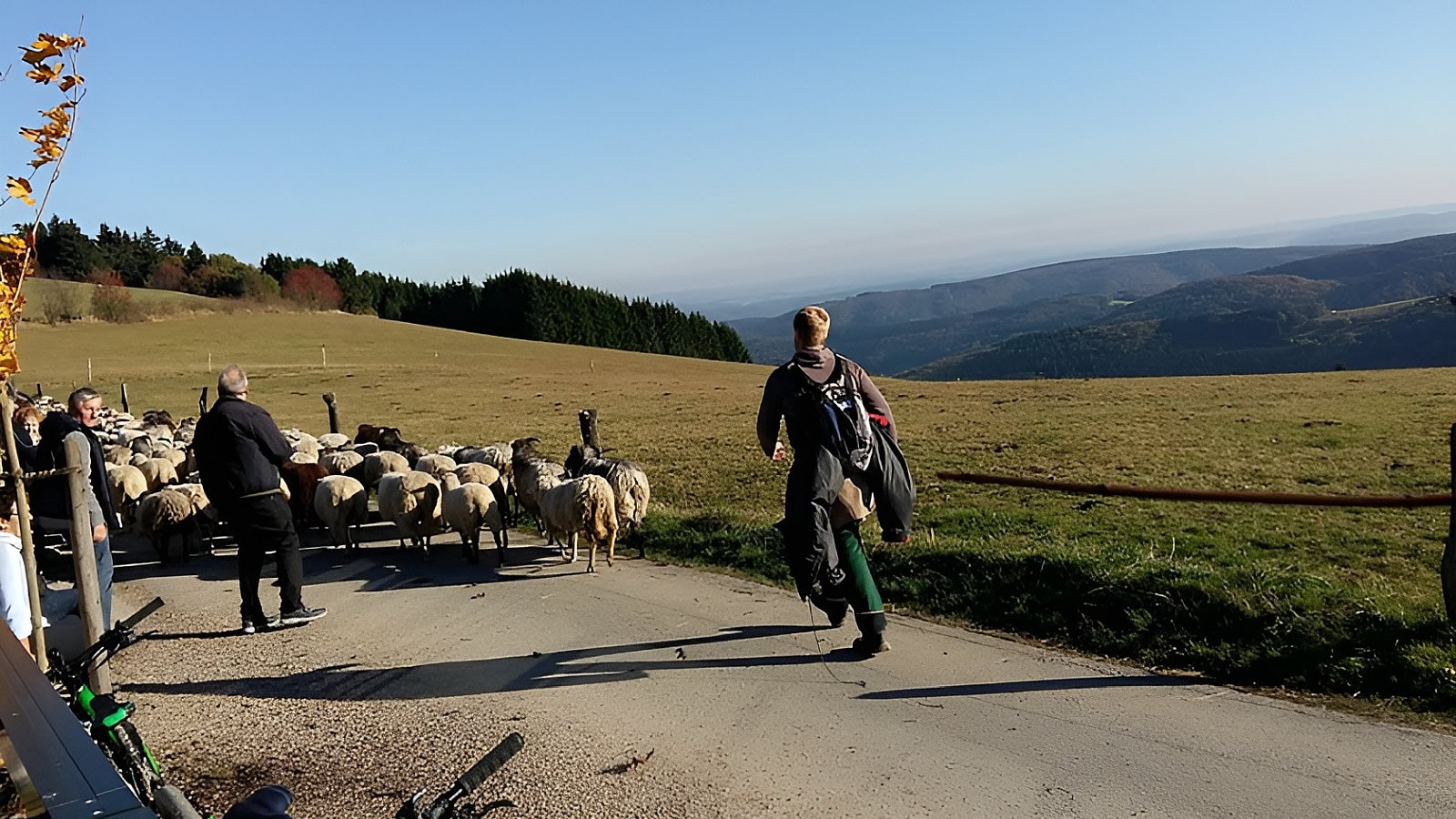 Gesundheitsreise mit Zuschuss Ihrer Krankenkasse nach Winterberg. Foto 9 zeigt eine Impression von Hotel Winterberg Resort  oder seiner Umgebung.