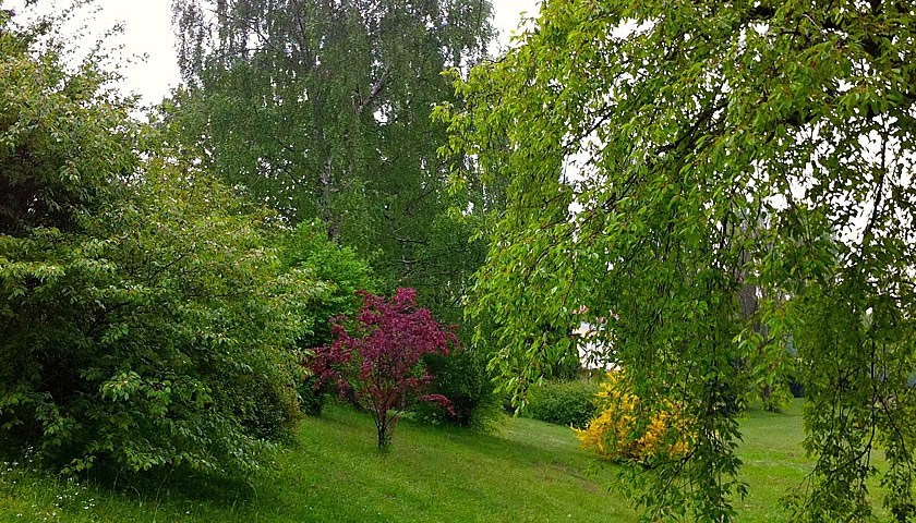 Gesundheitsreise mit Zuschuss Ihrer Krankenkasse nach Bad Tabarz. Foto 11 zeigt eine Impression von AKZENT Hotel Am Burgholz oder seiner Umgebung.