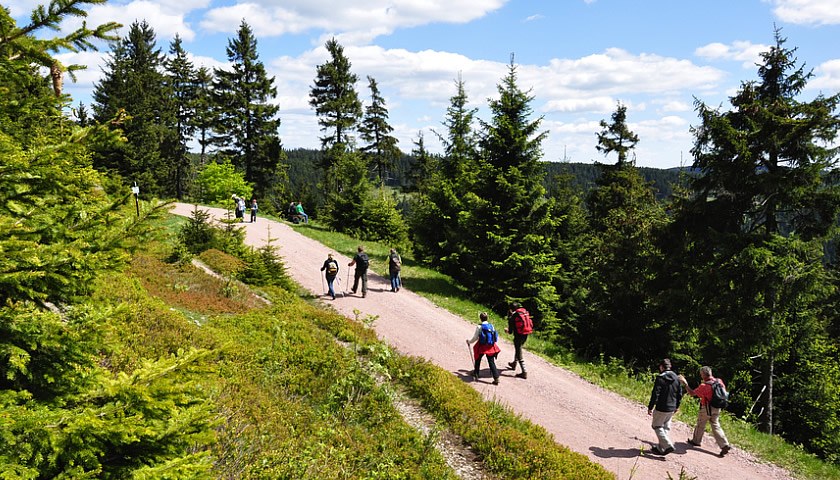 Gesundheitsreise mit Zuschuss Ihrer Krankenkasse nach Bad Tabarz. Foto 12 zeigt eine Impression von AKZENT Hotel Am Burgholz oder seiner Umgebung.