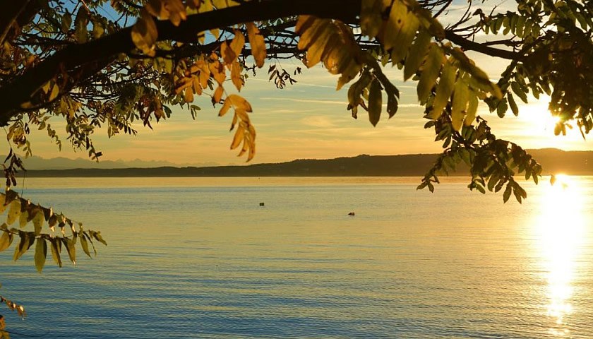 Gesundheitsreise mit Zuschuss Ihrer Krankenkasse nach Berg am Starnberger See. Foto 8 zeigt eine Impression von Hotel Schloss Berg oder seiner Umgebung.