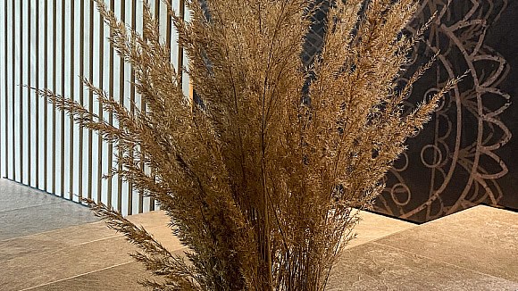 Gesundheitsreise mit Zuschuss Ihrer Krankenkasse nach Damüls. Foto 46 zeigt eine Impression von Hotel Damülser Hof oder seiner Umgebung.