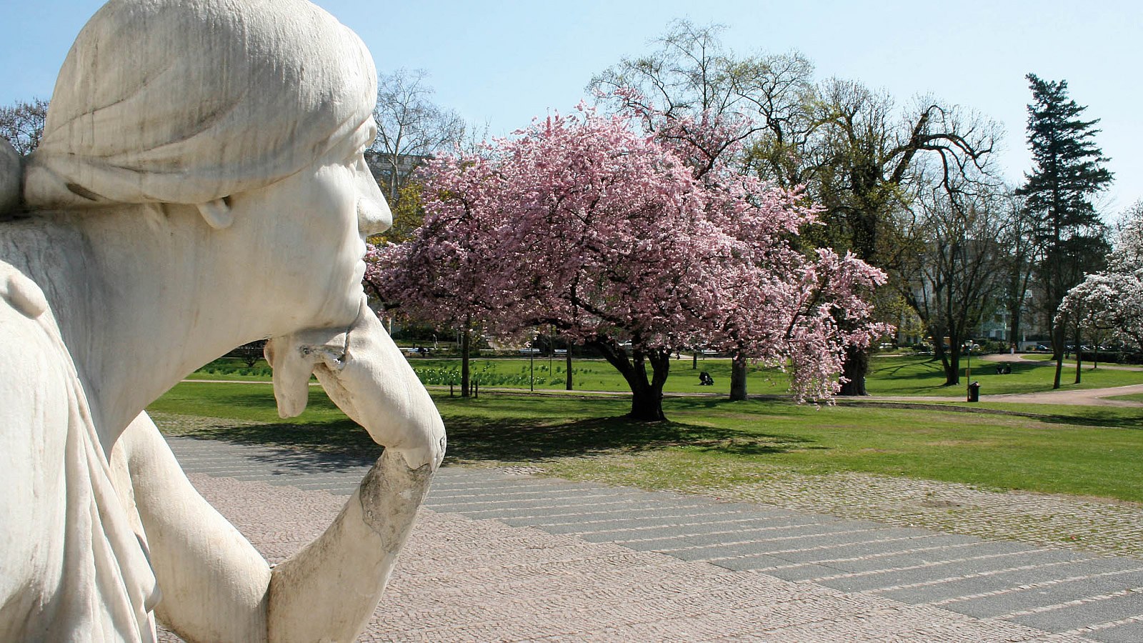 Gesundheitsreise mit Zuschuss Ihrer Krankenkasse nach Wiesbaden. Foto 8 zeigt eine Impression von Mercure Hotel Wiesbaden City oder seiner Umgebung.