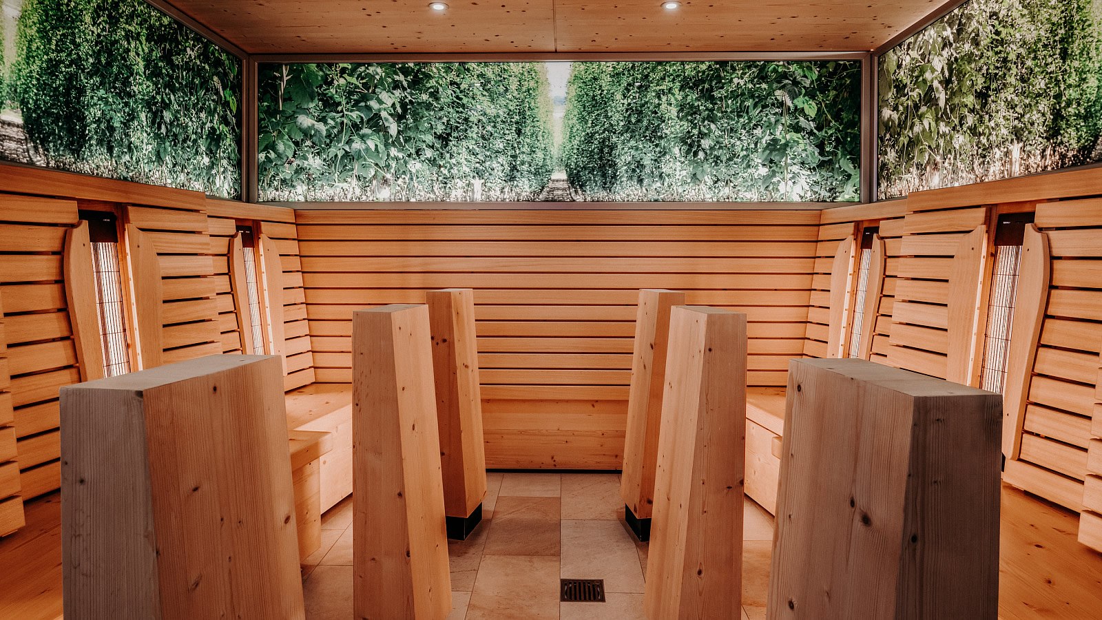 Gesundheitsreise mit Zuschuss Ihrer Krankenkasse nach Bad Gögging. Foto 4 zeigt eine Impression von Der Eisvogel oder seiner Umgebung.