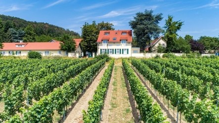 Präventionsreise nach Bad Dürkheim