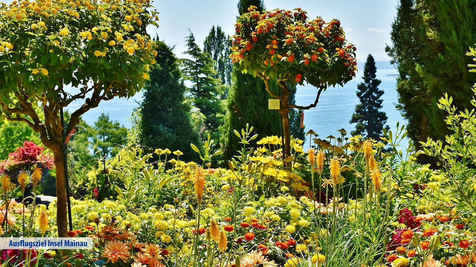 Gesundheitsreise mit Zuschuss Ihrer Krankenkasse nach Wangen. Foto 20 zeigt eine Impression von JUFA Hotel Wangen oder seiner Umgebung.