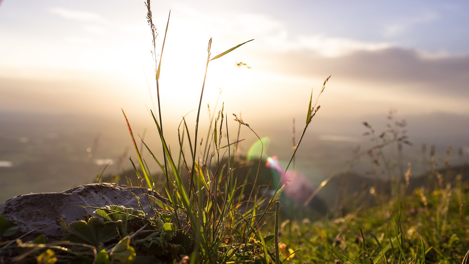 Gesundheitsreise mit Zuschuss Ihrer Krankenkasse nach Wangen. Foto 23 zeigt eine Impression von JUFA Hotel Wangen oder seiner Umgebung.