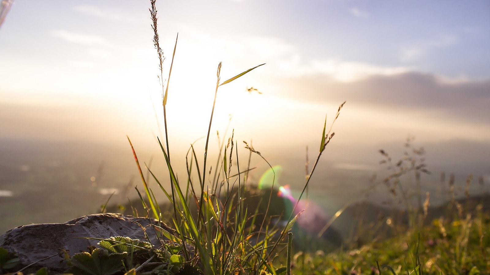 Gesundheitsreise mit Zuschuss Ihrer Krankenkasse nach Bad Hindelang. Foto 30 zeigt eine Impression von DIE GAMS Hotel Restaurant oder seiner Umgebung.