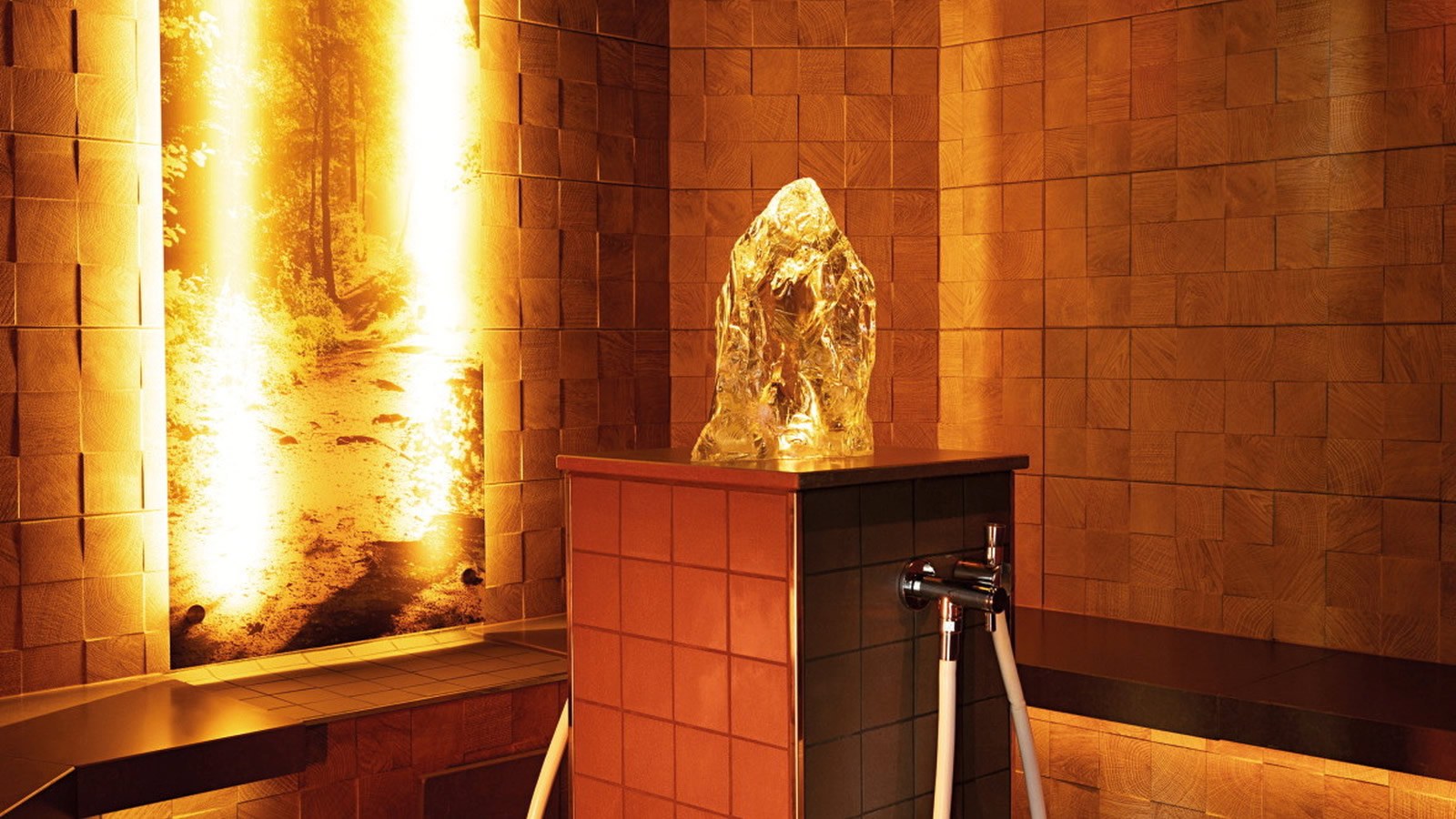 Gesundheitsreise mit Zuschuss Ihrer Krankenkasse nach Teistungen. Foto 6 zeigt eine Impression von Victor´s Residenz-Hotel Teistungenburg oder seiner Umgebung.