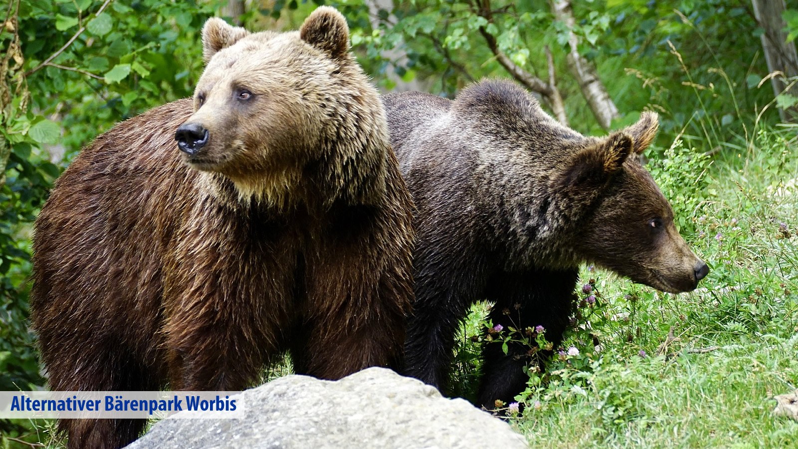 Gesundheitsreise mit Zuschuss Ihrer Krankenkasse nach Teistungen. Foto 42 zeigt eine Impression von Victor´s Residenz-Hotel Teistungenburg oder seiner Umgebung.