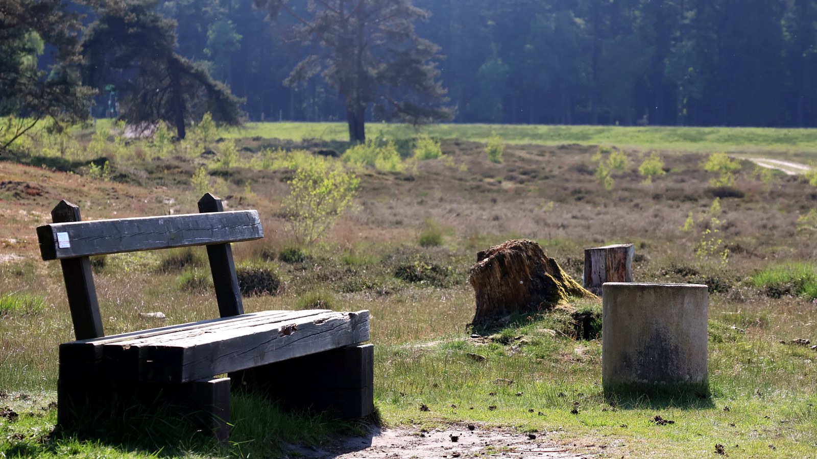 Gesundheitsreise mit Zuschuss Ihrer Krankenkasse nach Garrel. Foto 28 zeigt eine Impression von Hotel Heidegrund oder seiner Umgebung.