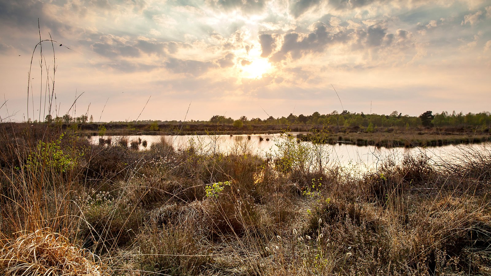 Gesundheitsreise mit Zuschuss Ihrer Krankenkasse nach Garrel. Foto 29 zeigt eine Impression von Hotel Heidegrund oder seiner Umgebung.