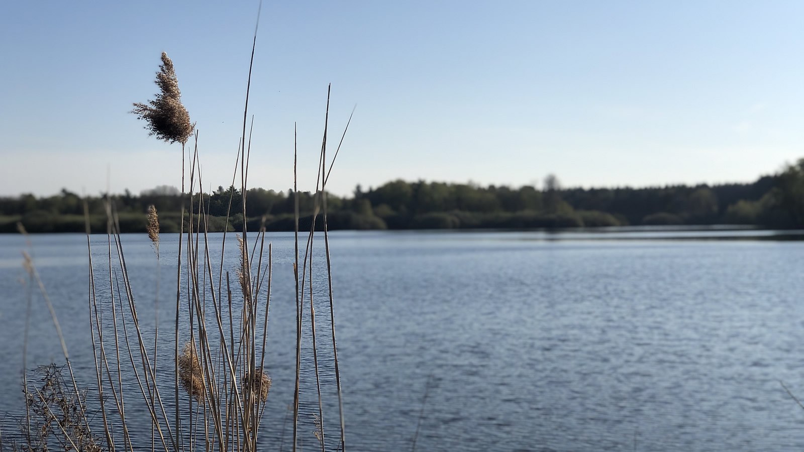 Gesundheitsreise mit Zuschuss Ihrer Krankenkasse nach Garrel. Foto 31 zeigt eine Impression von Hotel Heidegrund oder seiner Umgebung.