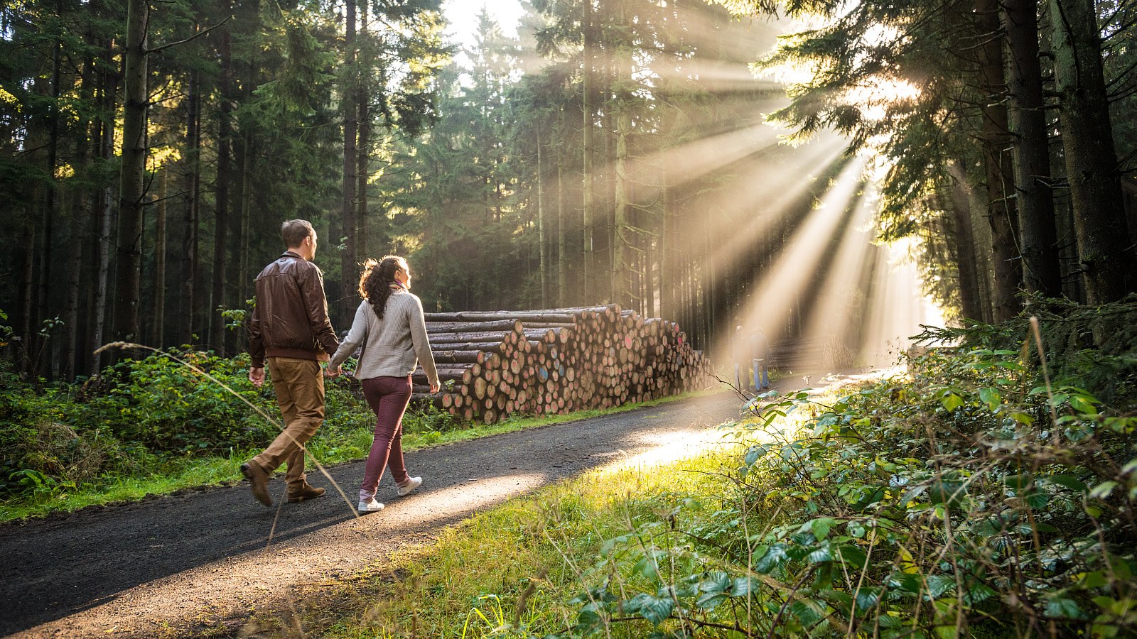 Gesundheitsreise mit Zuschuss Ihrer Krankenkasse nach Bad Marienberg. Foto 20 zeigt eine Impression von Wildpark Hotel oder seiner Umgebung.