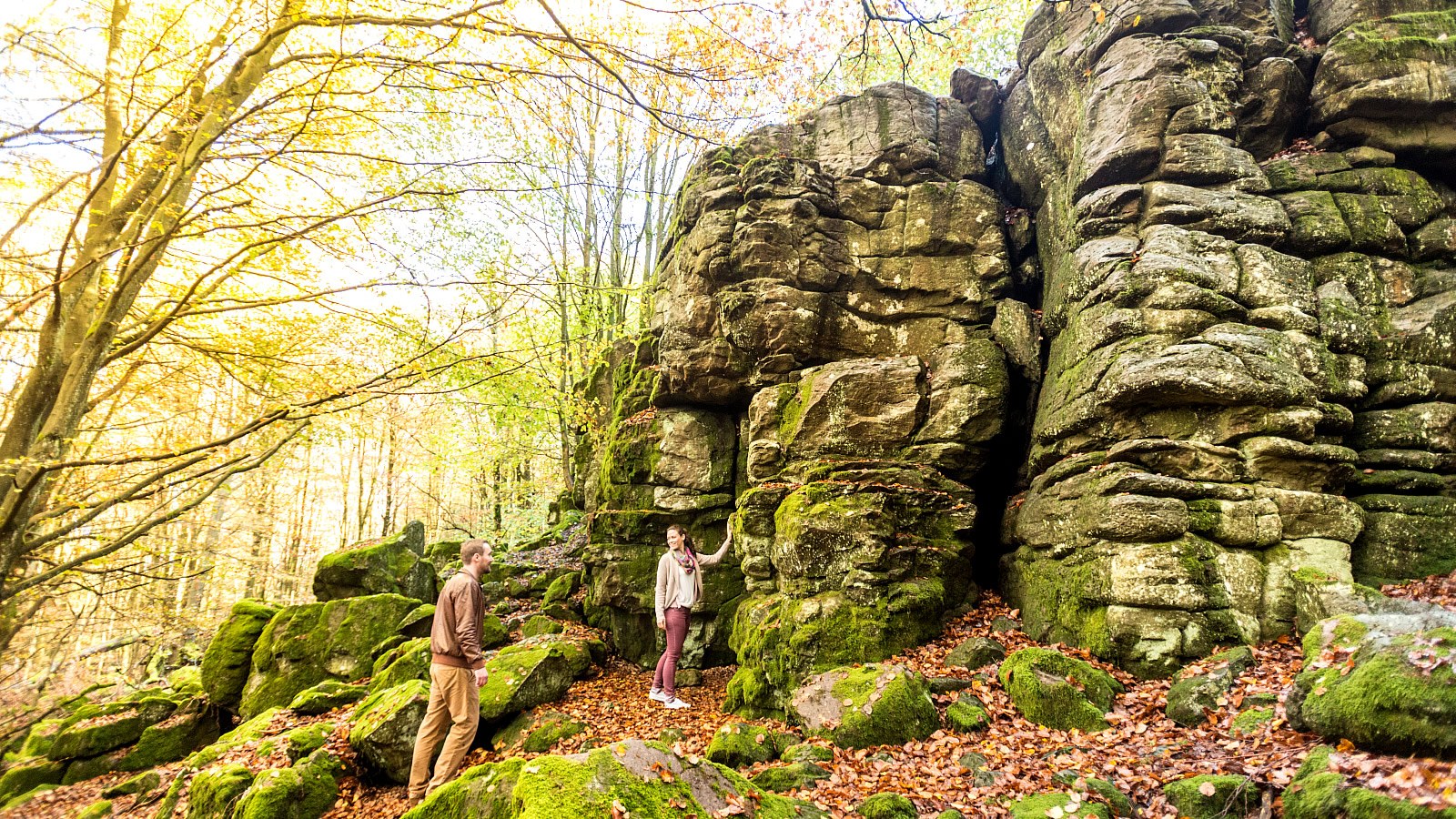Gesundheitsreise mit Zuschuss Ihrer Krankenkasse nach Bad Marienberg. Foto 21 zeigt eine Impression von Wildpark Hotel oder seiner Umgebung.