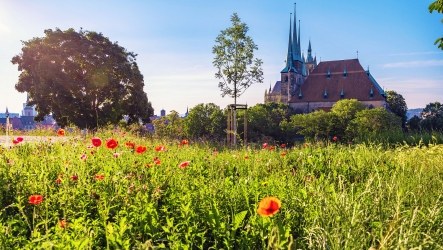 Präventionsreise nach Erfurt