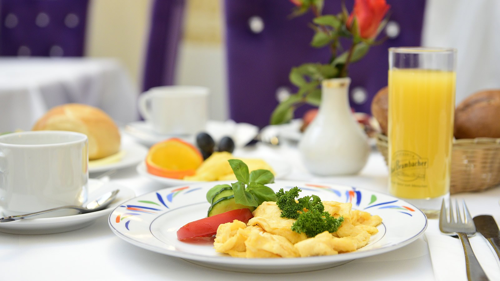Gesundheitsreise mit Zuschuss Ihrer Krankenkasse nach Plauen. Foto 13 zeigt eine Impression von Hotel Alexandra oder seiner Umgebung.