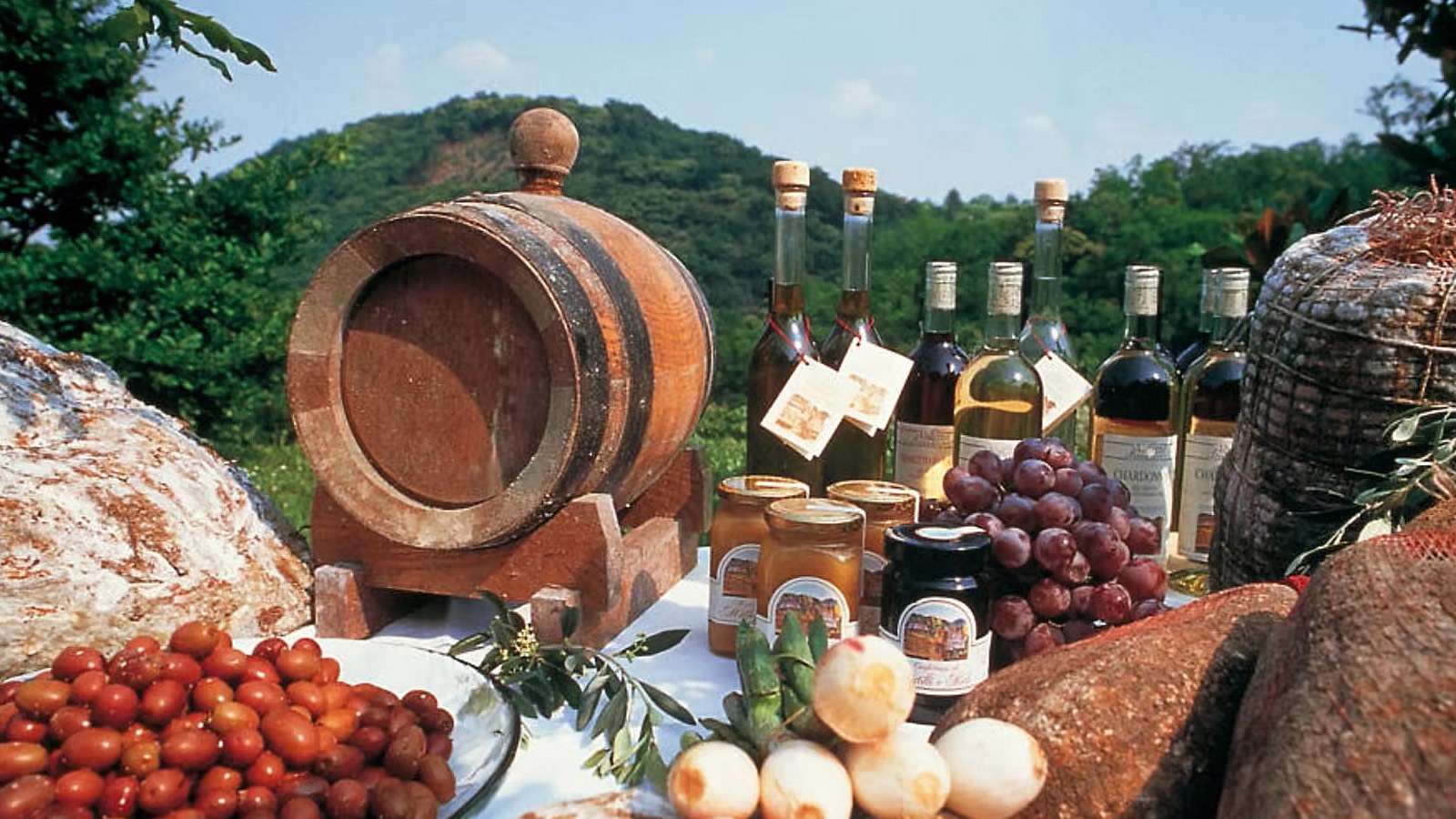 Gesundheitsreise mit Zuschuss Ihrer Krankenkasse nach Abano Terme. Foto 27 zeigt eine Impression von Hotel Terme Orvieto oder seiner Umgebung.