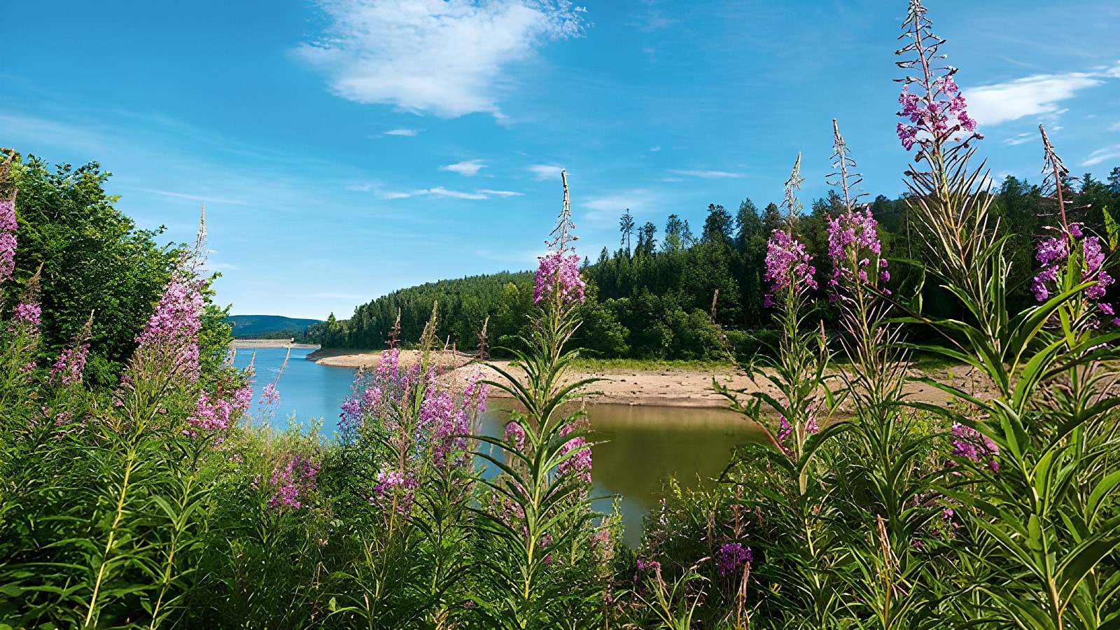Gesundheitsreise mit Zuschuss Ihrer Krankenkasse nach Baiersbronn. Foto 24 zeigt eine Impression von Ringhotel Sonnenhof  oder seiner Umgebung.