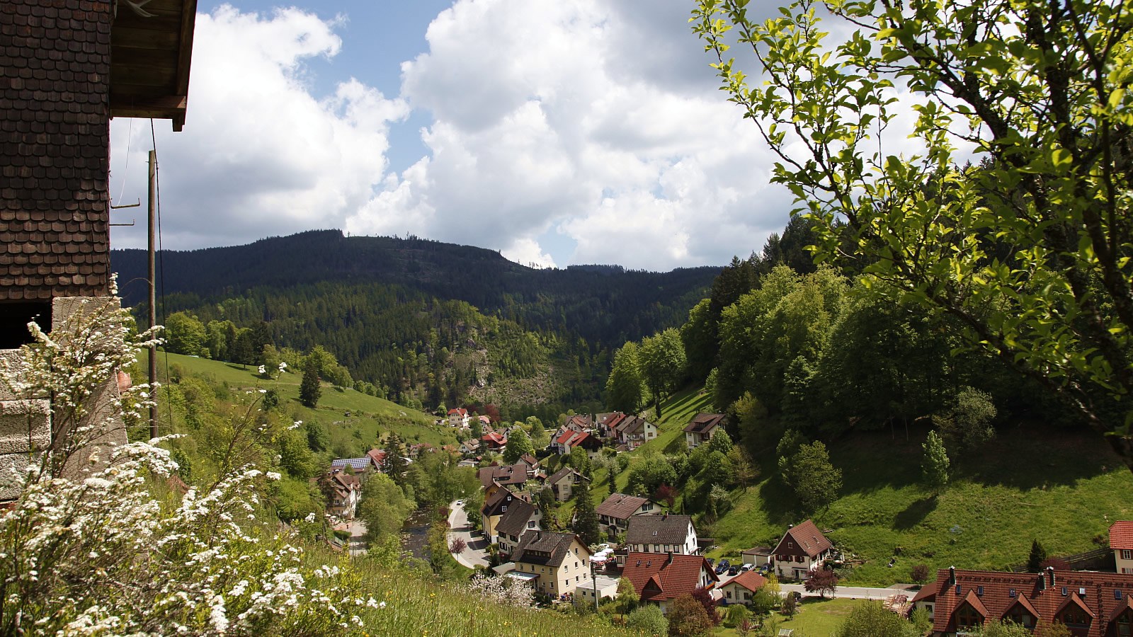 Gesundheitsreise mit Zuschuss Ihrer Krankenkasse nach Baiersbronn. Foto 26 zeigt eine Impression von Ringhotel Sonnenhof  oder seiner Umgebung.