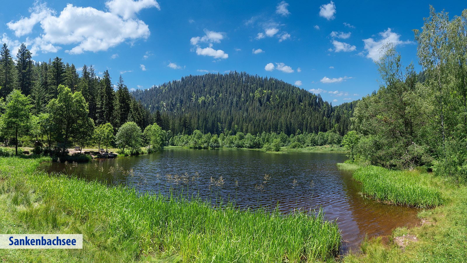 Gesundheitsreise mit Zuschuss Ihrer Krankenkasse nach Baiersbronn. Foto 28 zeigt eine Impression von Ringhotel Sonnenhof  oder seiner Umgebung.