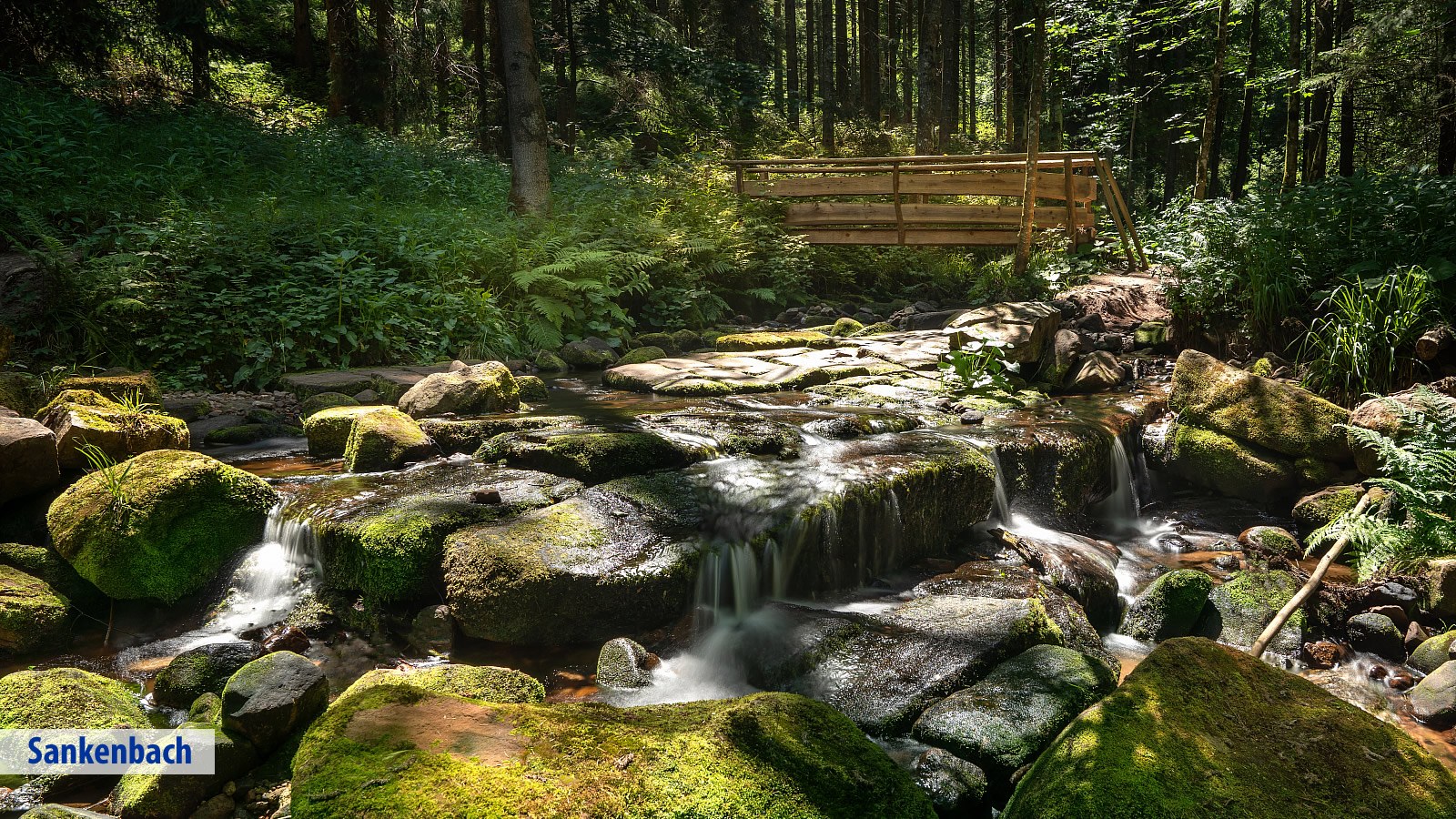 Gesundheitsreise mit Zuschuss Ihrer Krankenkasse nach Baiersbronn. Foto 29 zeigt eine Impression von Ringhotel Sonnenhof  oder seiner Umgebung.