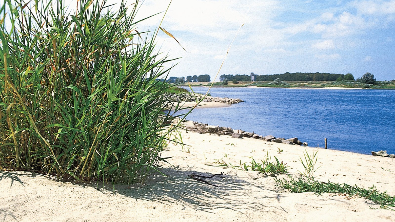 Gesundheitsreise mit Zuschuss Ihrer Krankenkasse nach Hitzacker. Foto 3 zeigt eine Impression von Parkhotel-Hitzacker oder seiner Umgebung.