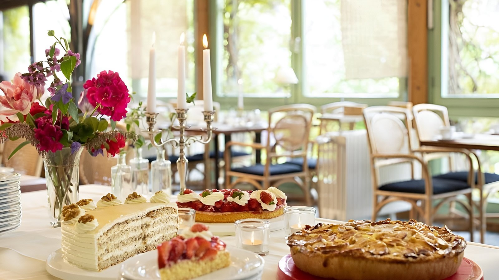 Gesundheitsreise mit Zuschuss Ihrer Krankenkasse nach Hitzacker. Foto 10 zeigt eine Impression von Parkhotel-Hitzacker oder seiner Umgebung.