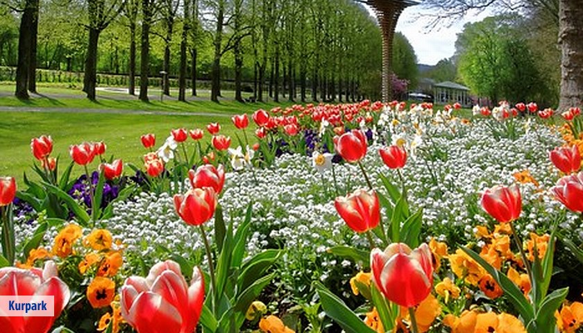 Gesundheitsreise mit Zuschuss Ihrer Krankenkasse nach Bad Mergentheim. Foto 14 zeigt eine Impression von Best Western Premier Parkhotel oder seiner Umgebung.