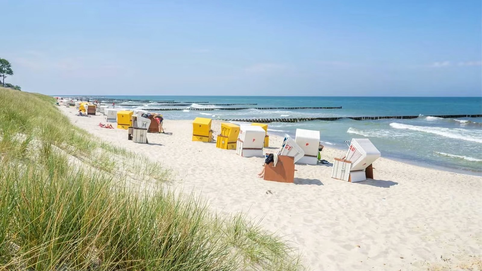 Gesundheitsreise mit Zuschuss Ihrer Krankenkasse nach Graal-Müritz. Foto 20 zeigt eine Impression von IFA Hotel Graal-Müritz oder seiner Umgebung.